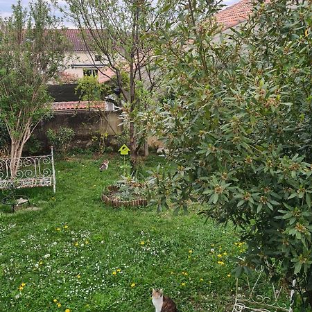 Villa Pierre Condom Bagian luar foto